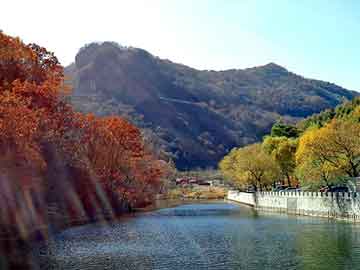 新澳门免费精准大全，战国水晶杯